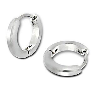 Small Stainless Steel Hoop Earrings