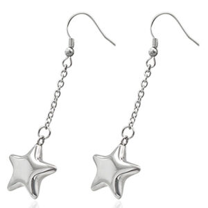 Stainless Steel Star Earrings - 'The Star'